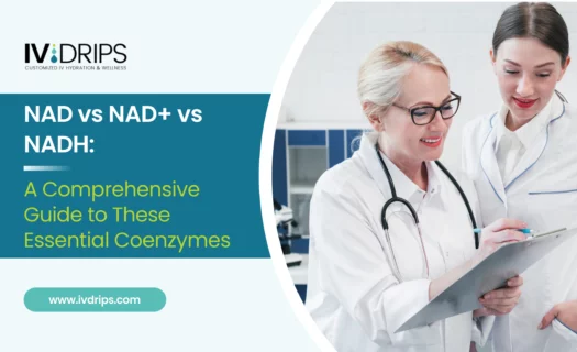 NAD vs NAD vs NADH_ A Comprehensive Guide to These Essential Coenzymes